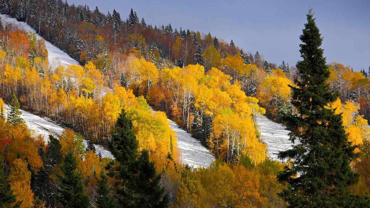 Les Bouleaux - Les Chalets Spa Canada ลามัลแบ ภายนอก รูปภาพ